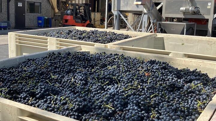 Napa Valley and Sonoma Private Wine Tour With Hotel Pickup