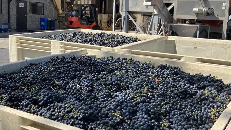 Napa or Sonoma Private Wine Tour With Hotel Pickup