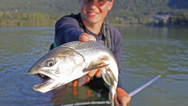 Whistler Small-Group Guided Fishing Adventure