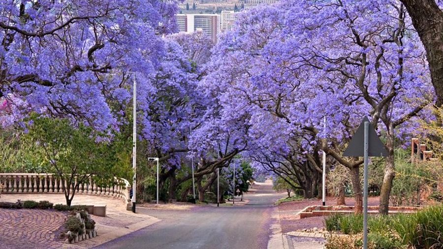 Pretoria City & Heritage Day Trip from Johannesburg