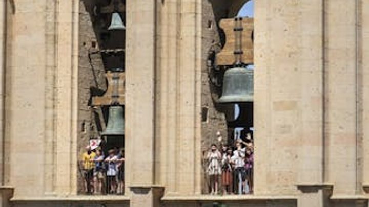 Guided tour to the tower with entrance ticket to Cathedral of Segovia