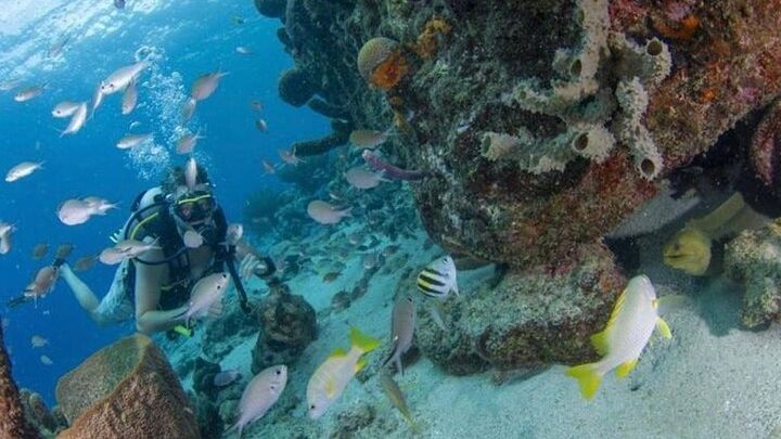 Private Customizable Tour of Curacao