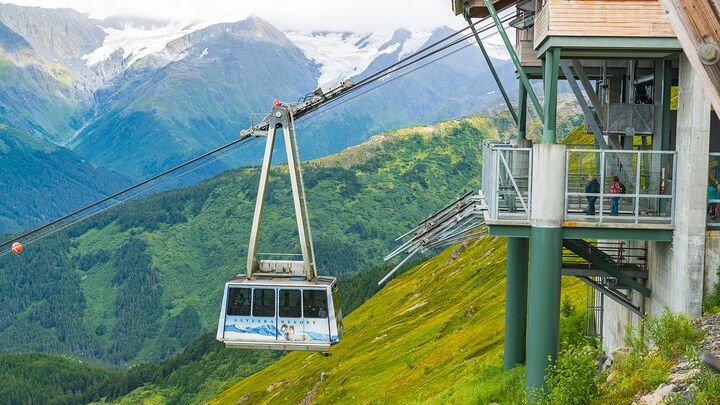 Anchorage: Aerial Tram, Wildlife Center Small-Group Tour