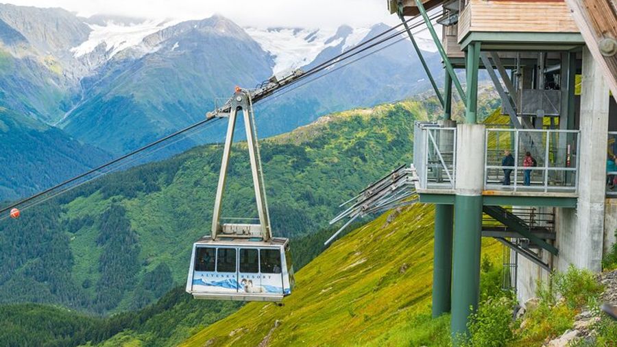 Anchorage: Aerial Tram, Wildlife Center Small-Group Tour