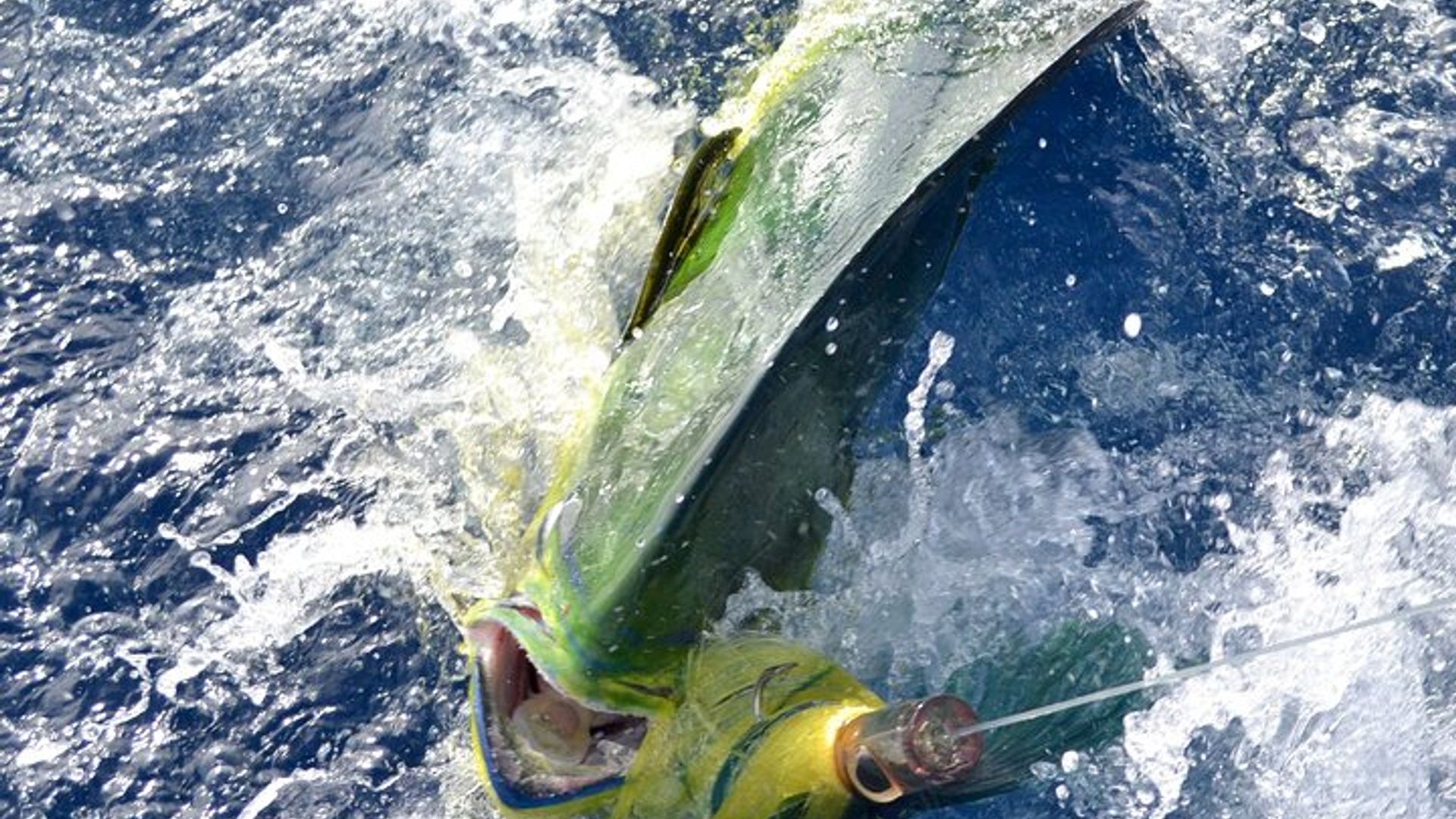 Private Grand Baie Mauritius Angelerlebnis Tour