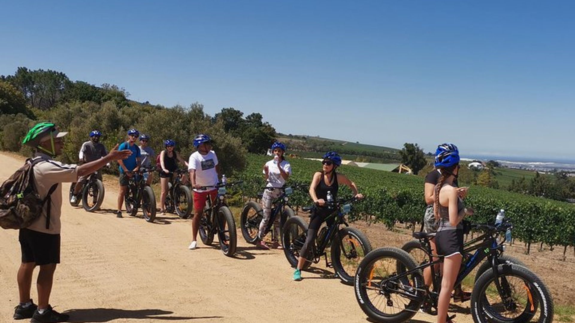 Desde Ciudad del Cabo: excursión de día completo en bicicleta eléctrica Winelands Tour y almuerzo