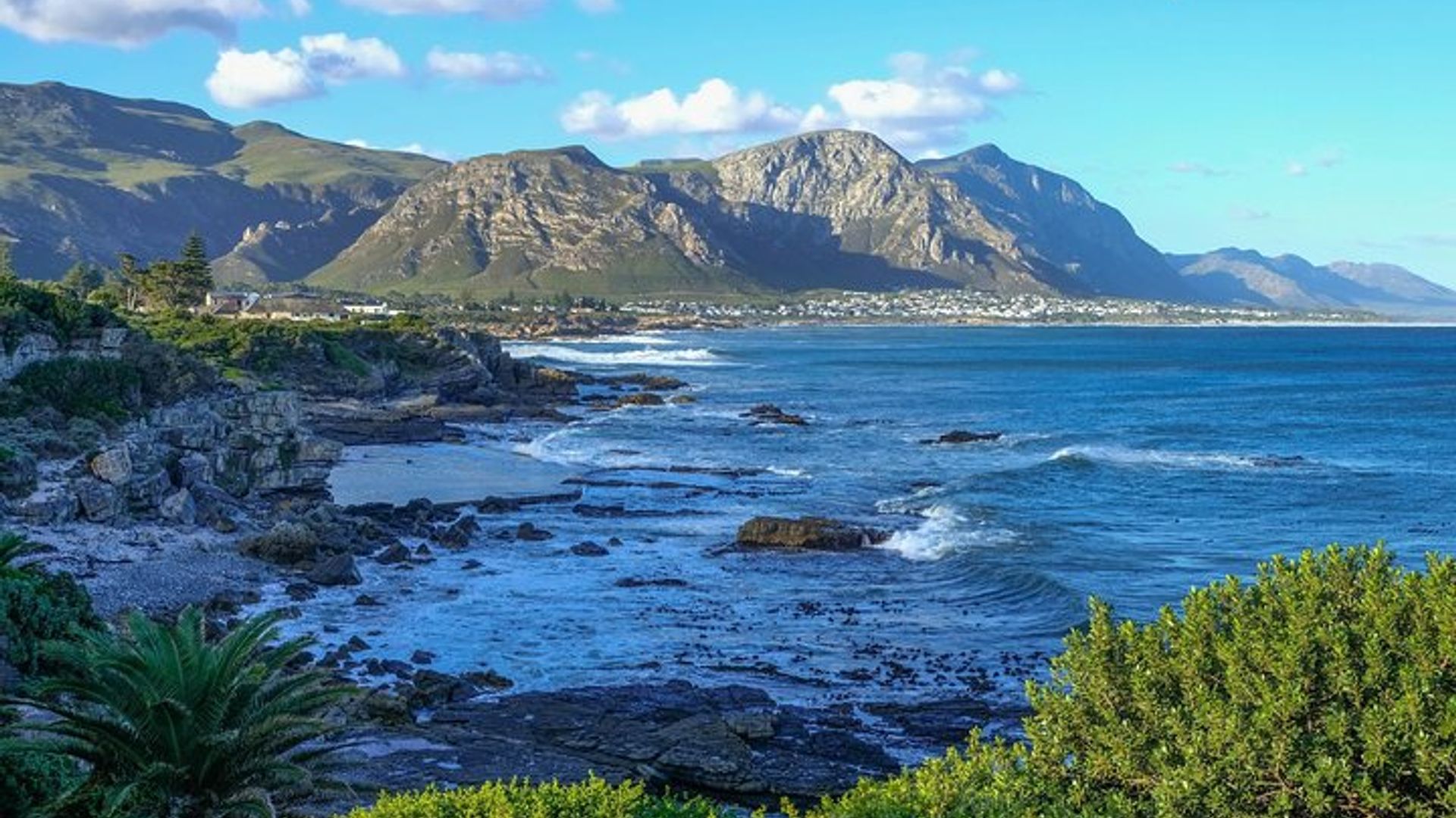 Garden Route Private 3 - Excursion d'une journée avec Botlierskop Safari