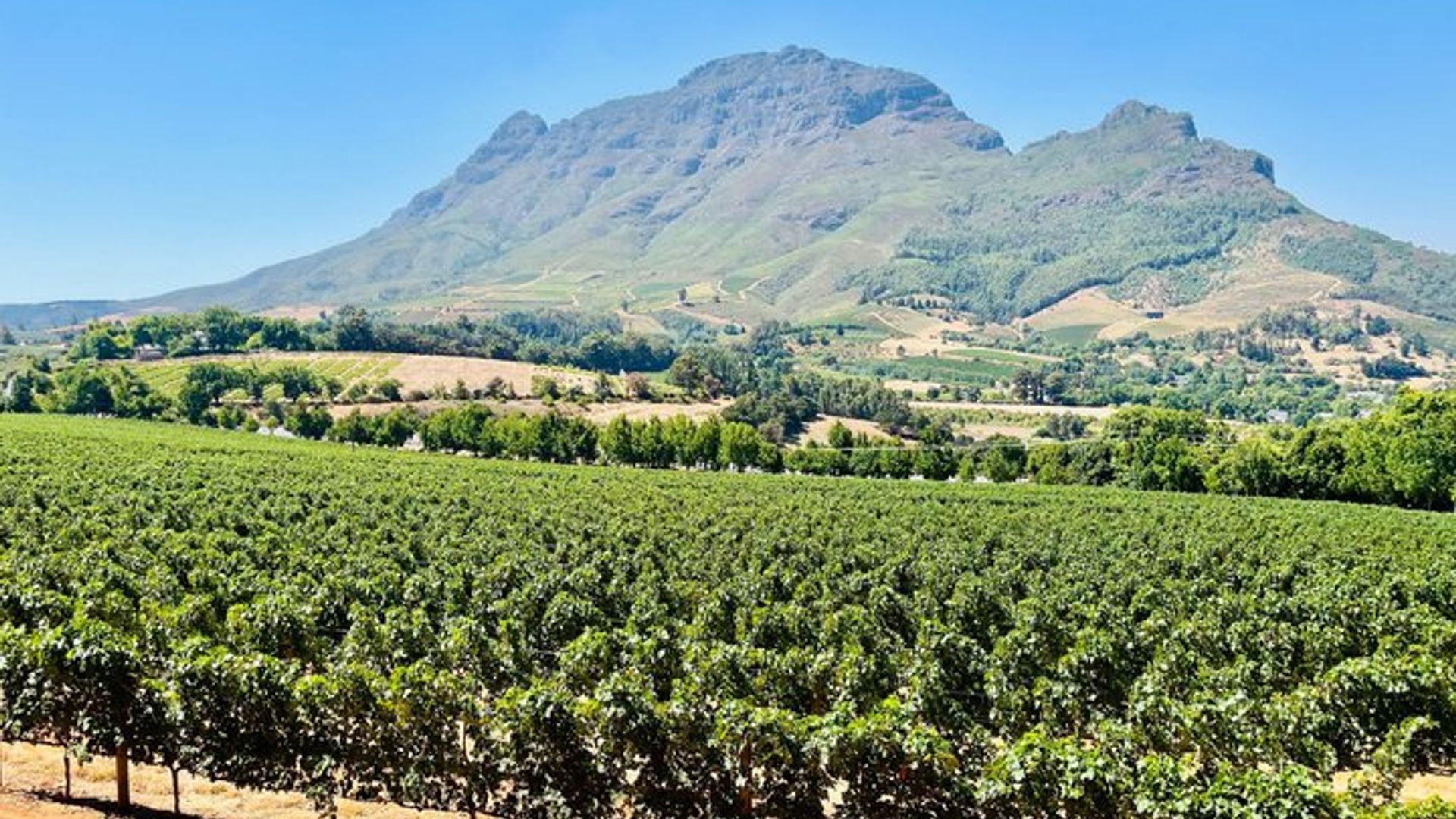 Privat : Sip & Explore Stellenbosch Wine Tour