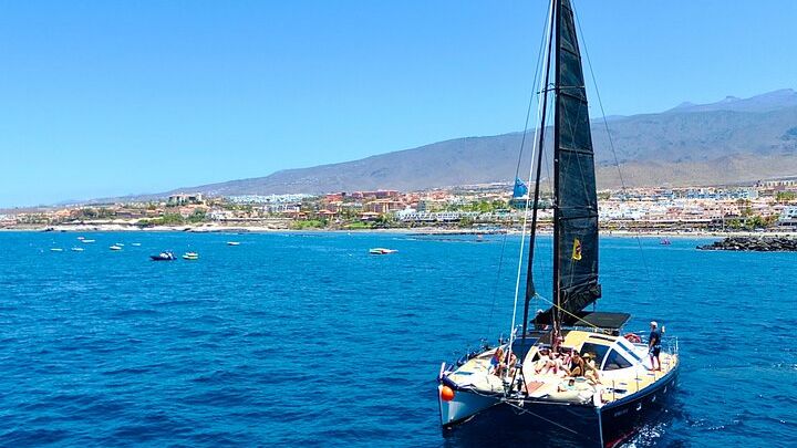Tenerife: Whale and Dolphin-Watching Catamaran Tour
