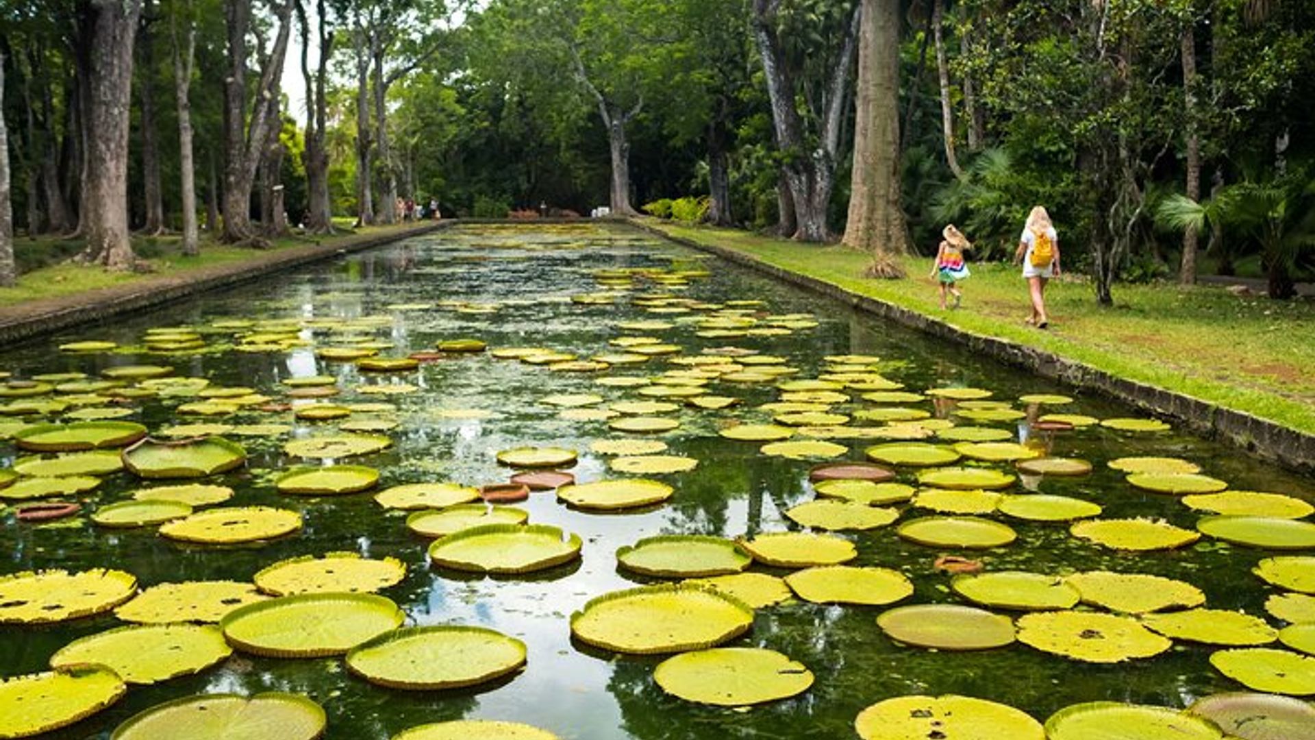 Mauritius: Private North Cultural Odyssey with Hotel Pick Up