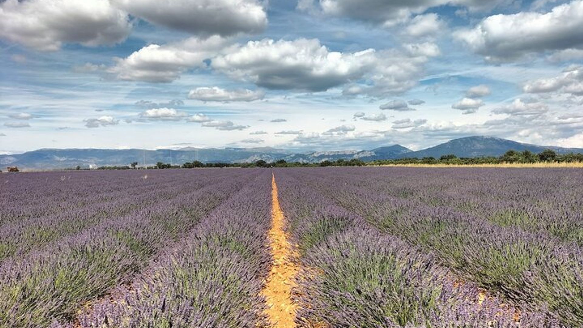 Gorges du Verdon : Lavendel, Canyon Boot Picknick & Dörfer