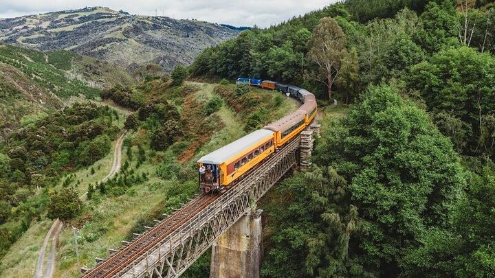 Dunedin City Tour and Taieri Gorge Railway Shore Excursion