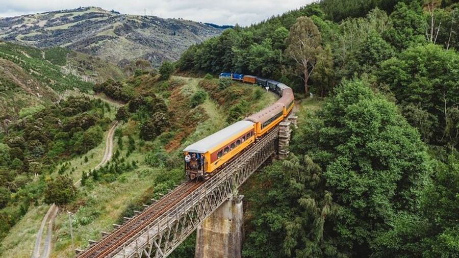 Dunedin City Tour and Taieri Gorge Railway Shore Excursion