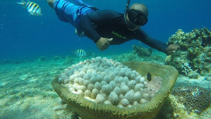 Cozumel Private Half-Day El Cielo Boat Tour with Snorkeling