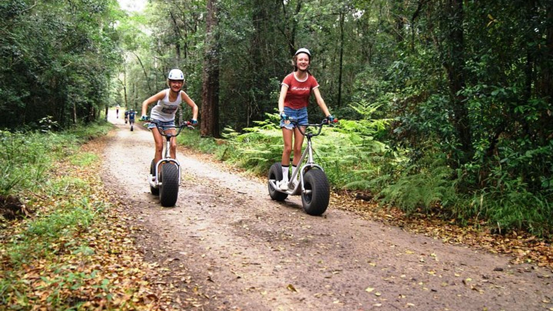 Experiencia en scooter cuesta abajo en el bosque de Knysna