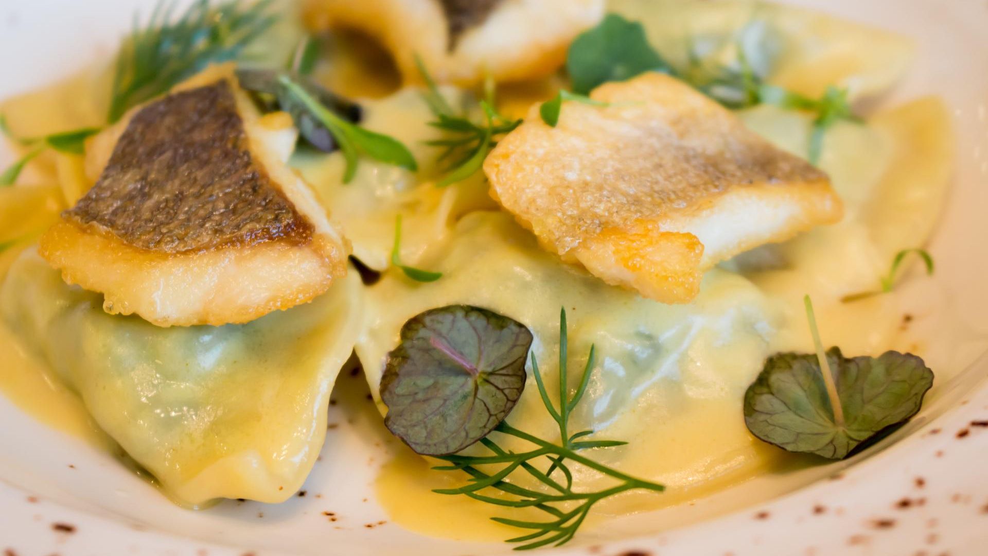 Market visit and dining experience at a local's home with cooking demo and wines included in Verona