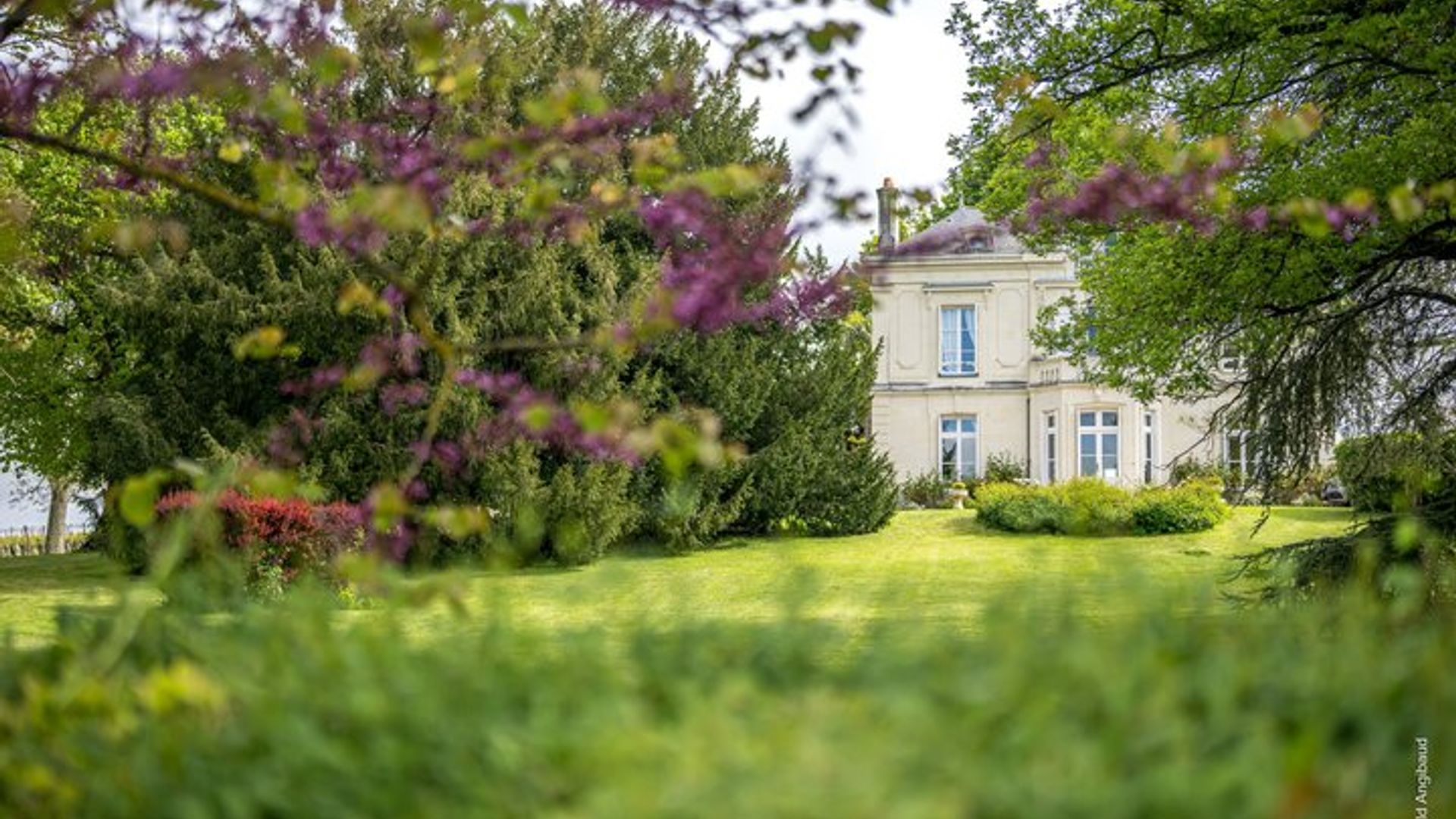 Entdecken Sie die Weine auf der Domaine Beaumont Distré-Saumur