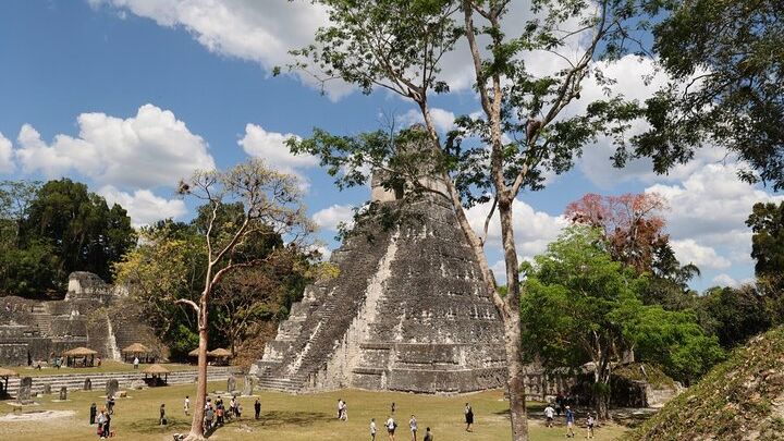 Day Trip to Tikal Maya Ruins Including Lunch