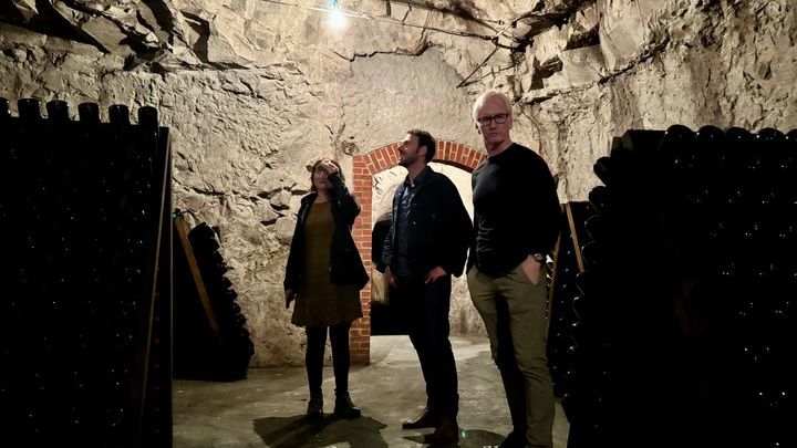 Champagne Small-Group Cellars and Vineyard Full-Day From Paris