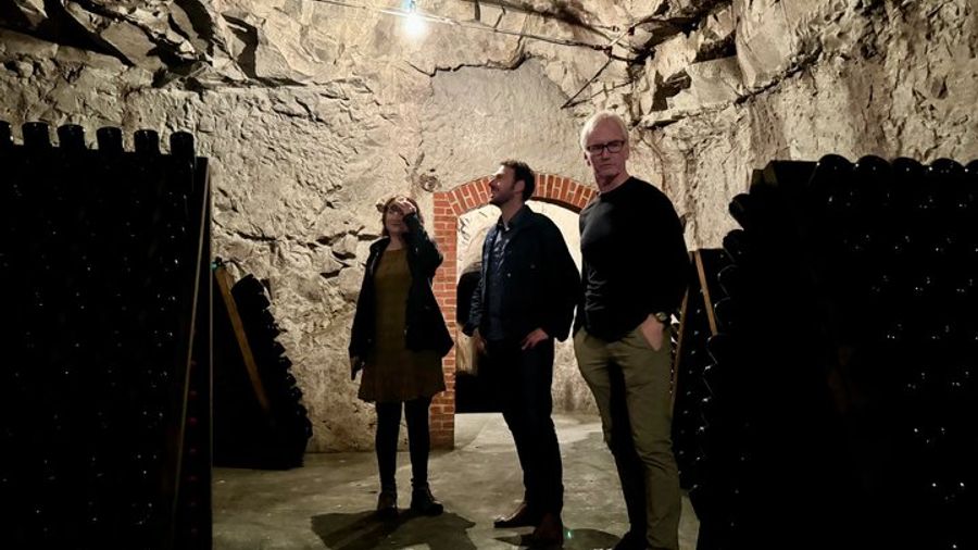 Champagne Small-Group Cellars and Vineyard Full-Day From Paris