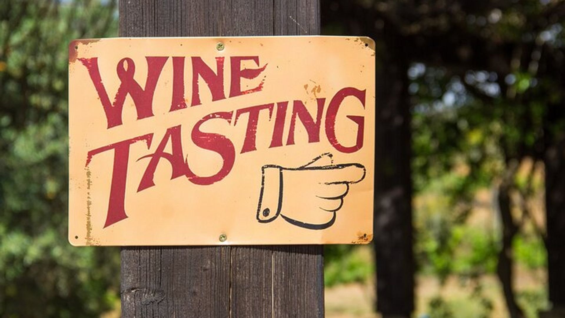 Albufeira Wine Tasting : Weingut-Tour & historische Silben