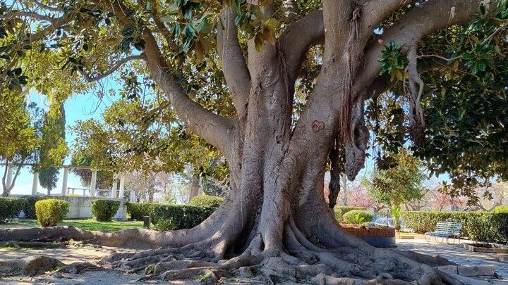 Corfu Dark Legends Walking Tour