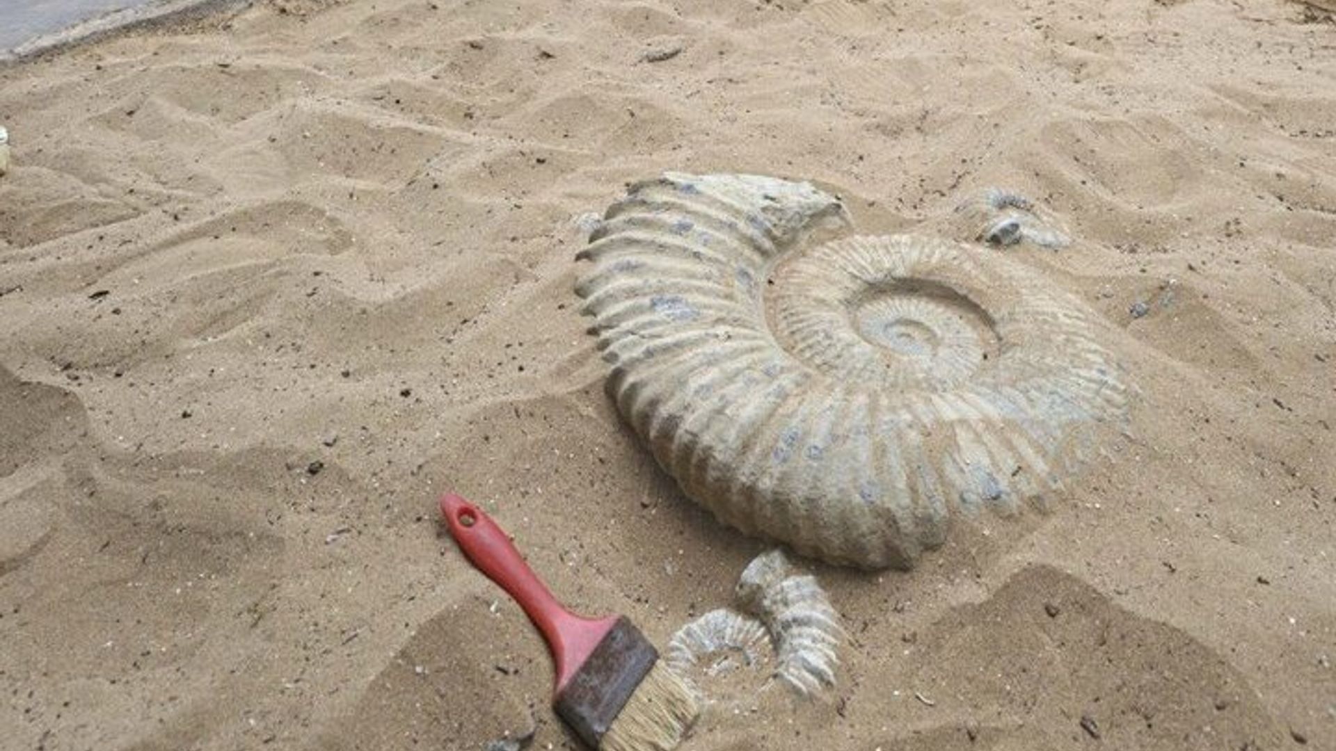 Excursión de un día a Crocoparc Agadir con transporte de ida y vuelta