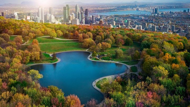 Montreal Full-Day City Tour