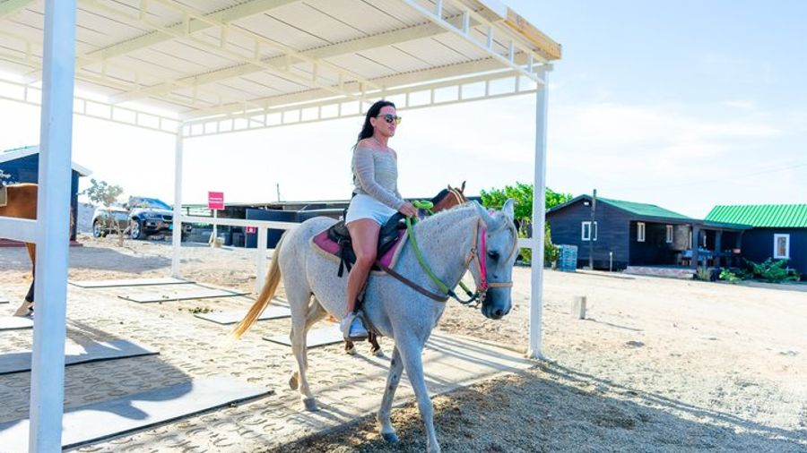 Paradera Small-Group Authentic Aruba Morning Horseback Ride