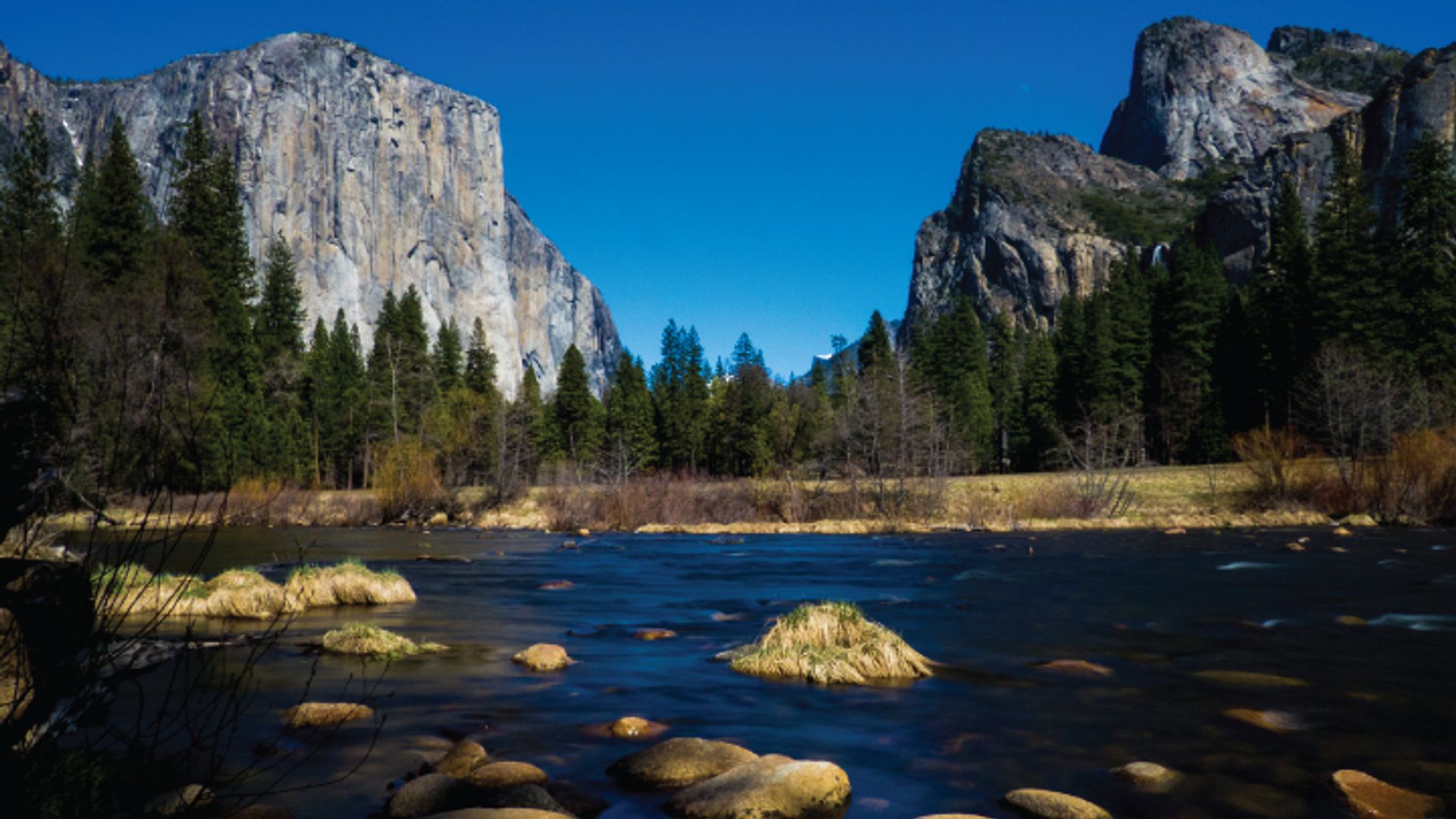 Yosemite National Park image 3