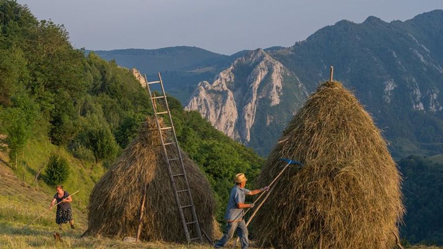 Private local experience from Brasov - Transylvanian villages and Bran Castle