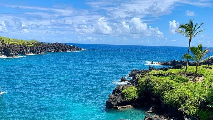 Maui Small-Group Full-Day Nature Tour with Lunch and Transfer