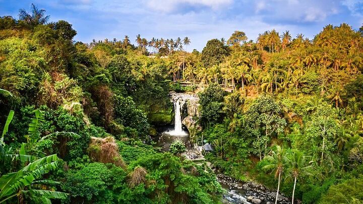 Full-Day Highlights and Best of Ubud Village