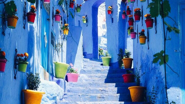 Chefchaouen the Blue City Private Day Trip from Casablanca