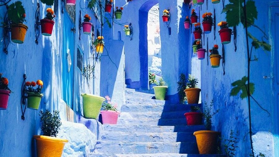Chefchaouen the Blue City Private Day Trip from Casablanca