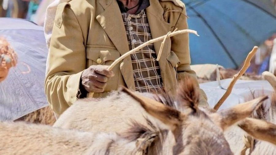 Addis Ababa Authentic Private City Tour