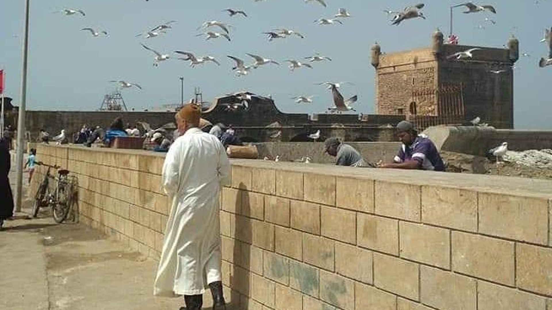 Excursión de un día a Essaouira desde Marrakech