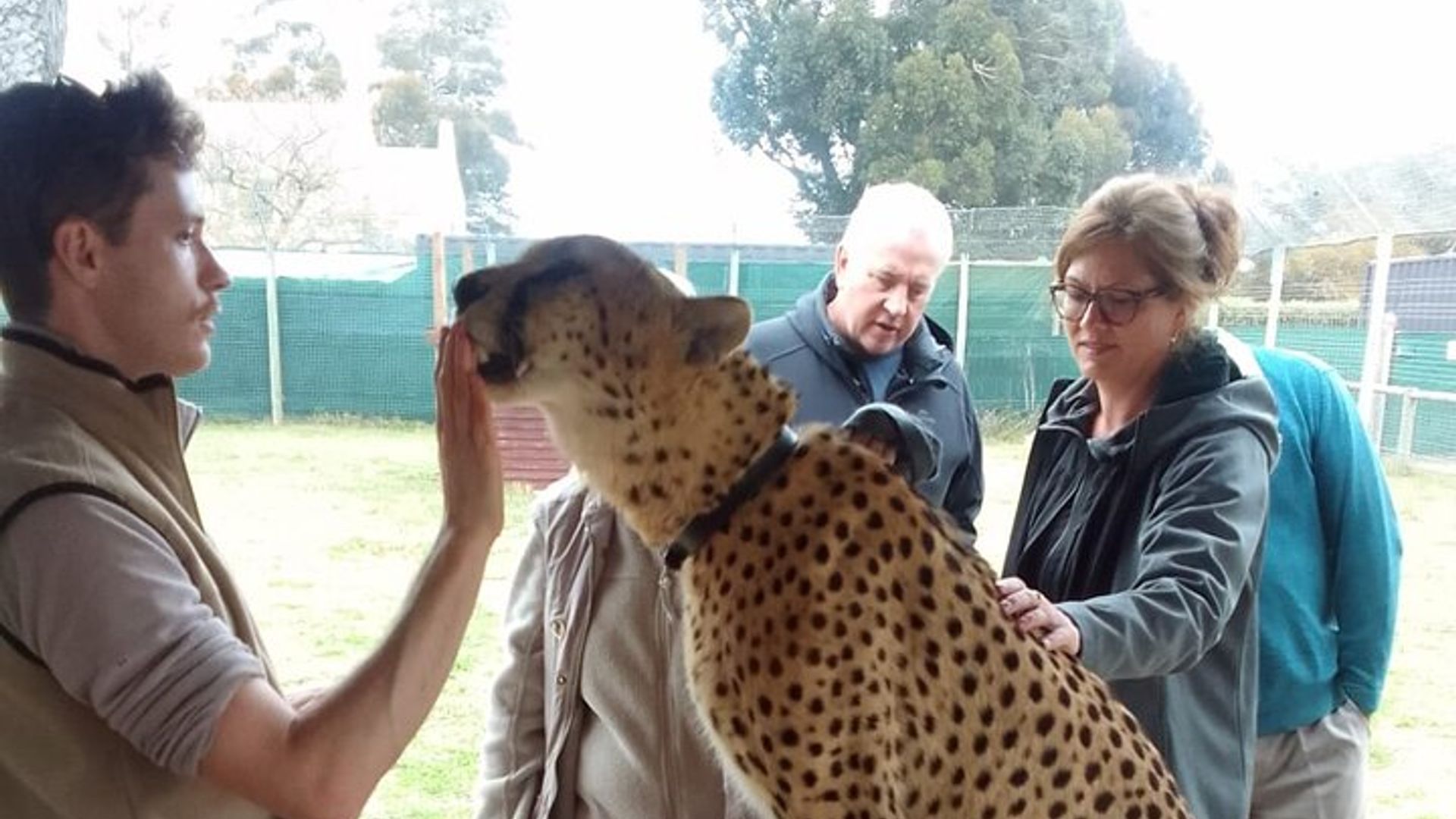 Cheetah Outreach, Gordon’s Bay, and Strand Beach Tour