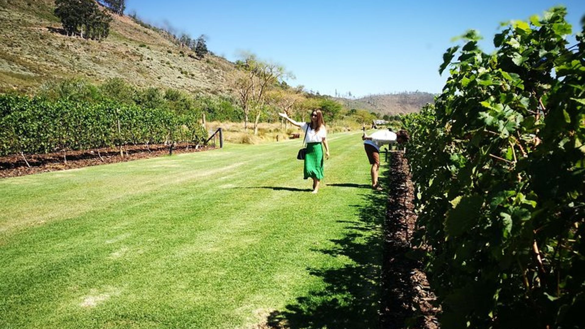 Visite guidée privée des vignobles du Cap depuis Cape Town