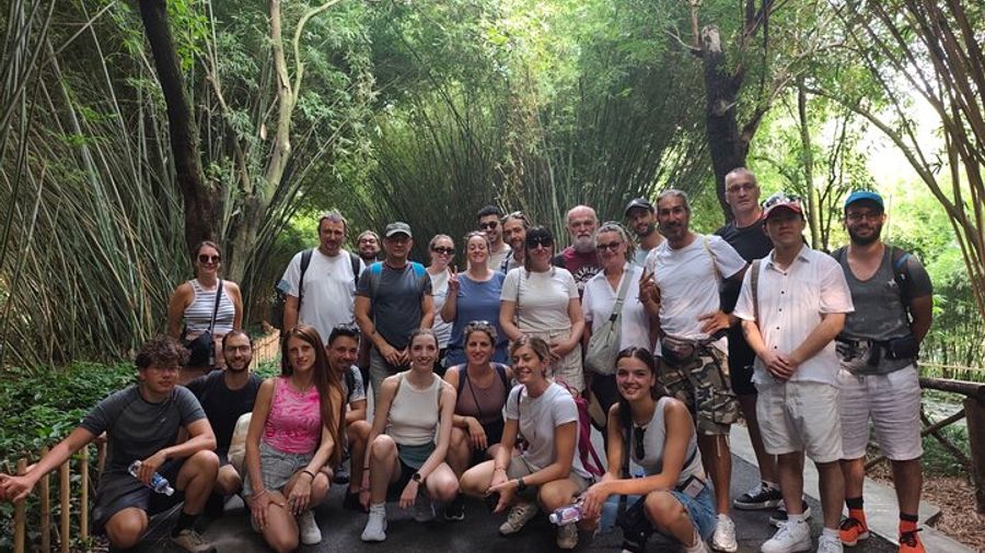 Chengdu Panda Base and Leshan Buddha Group Tour, Pickup Option