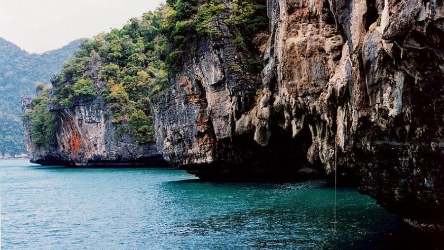 JungleWalla Langkawi UNESCO Geopark Mangrove Cruise