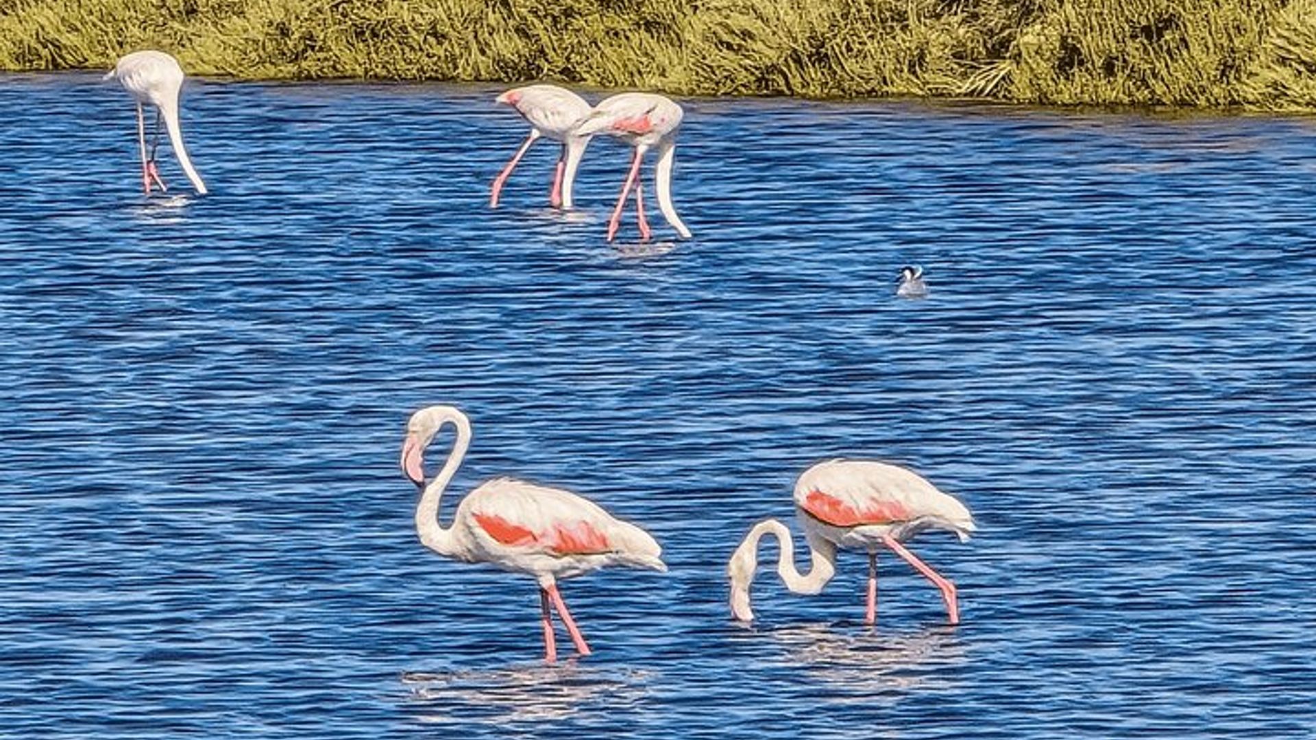 Tavira: Private Jeep-4x4-Tour, Cacela Velha und Ria Formosa