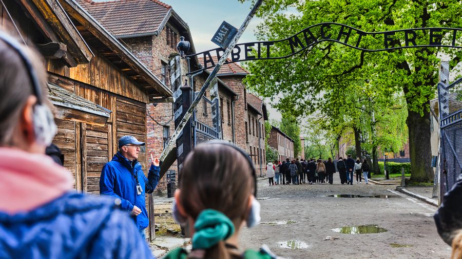 Auschwitz-Birkenau Guided Tour with Private Transport Other Languages