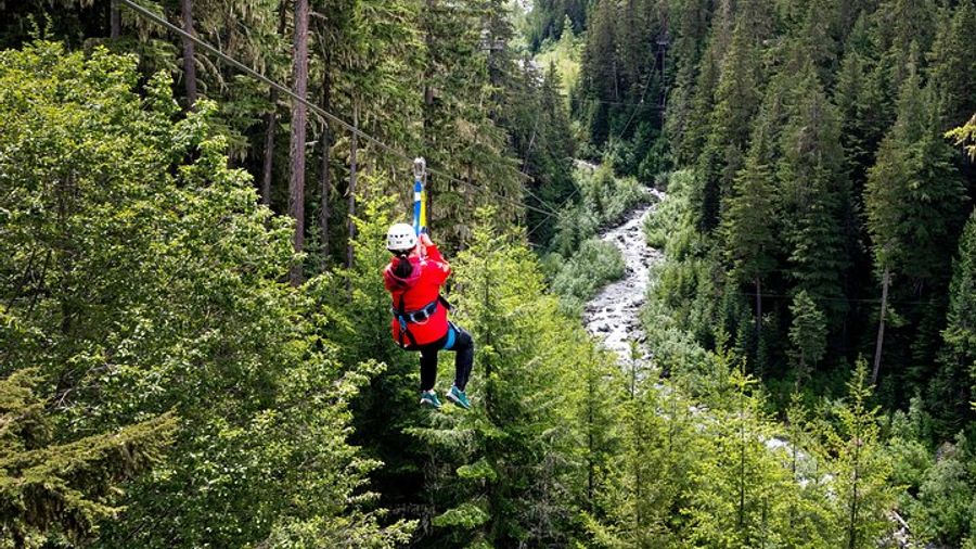 Whistler: Small-Group Nature Zipline Tour