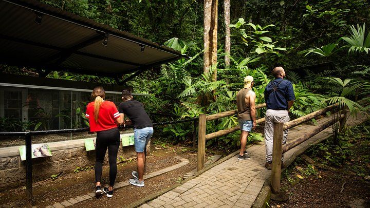 Jaco Rainforest Aerial Tram and Zipline Tour with Admission