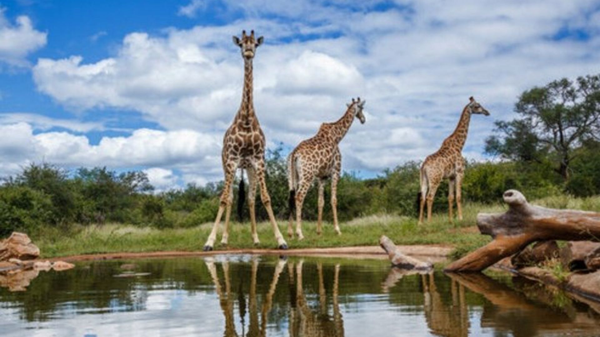Aventure Afrique du Sud de 15 jours Le Cap à Johannesburg