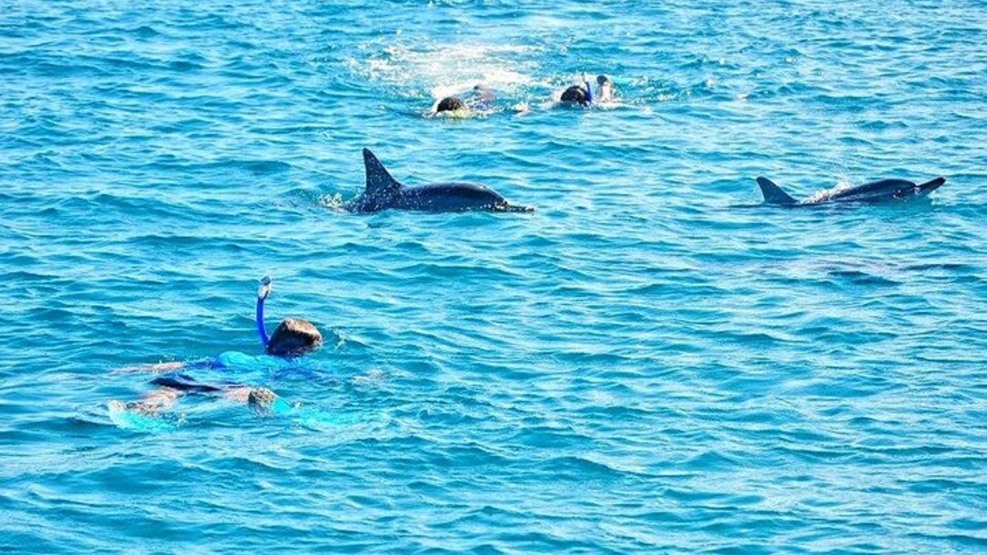 Excursión privada de 3 días a Mauricio con natación opcional en delfines salvajes