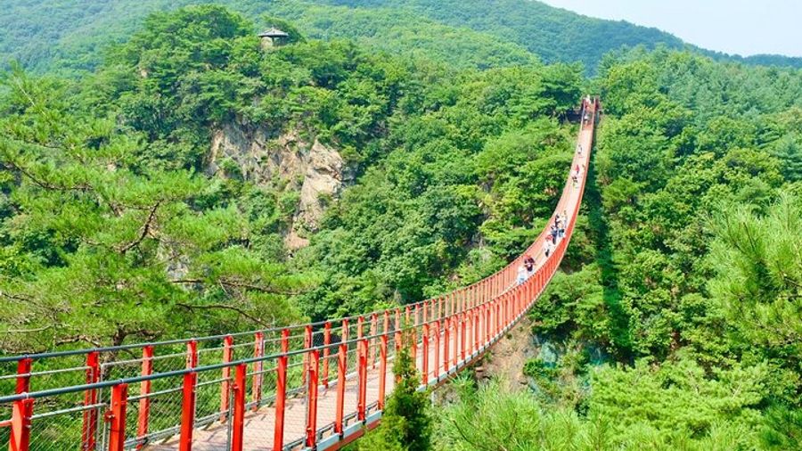 DMZ: 3rd Tunnel and Suspension Bridge Tour From Seoul
