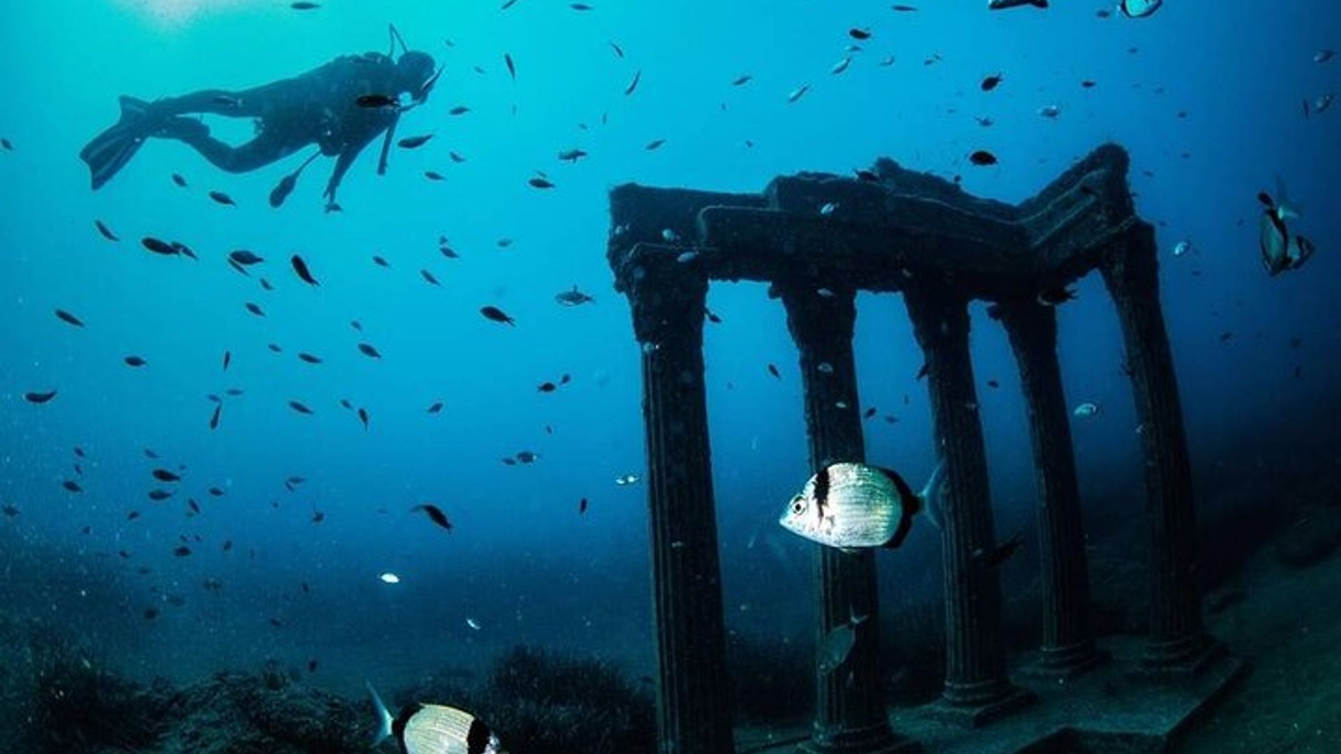 Side Scuba Diving Adventure with Lunch & Roundtrip Transfer