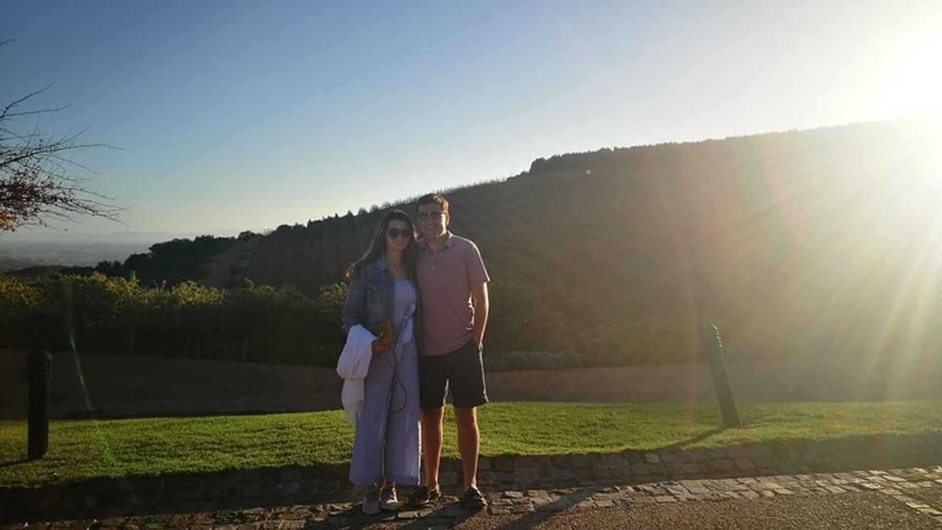 Visita guiada privada a Cape Winelands desde Ciudad del Cabo